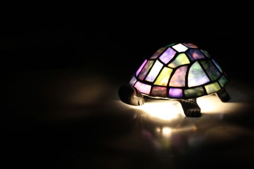 lamp light turtle