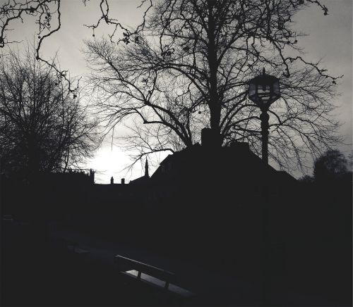 lamp post benches path