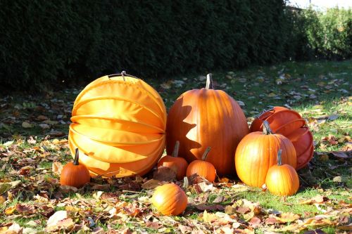 lampion chinese lanterns autumn