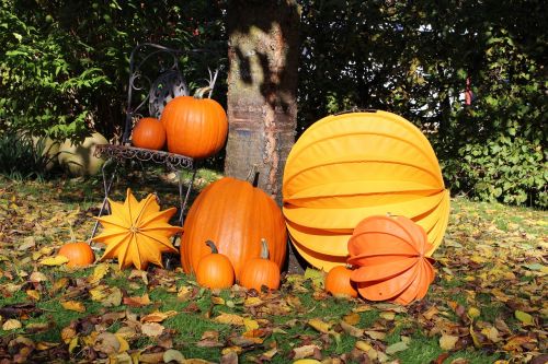 lampion chinese lanterns autumn