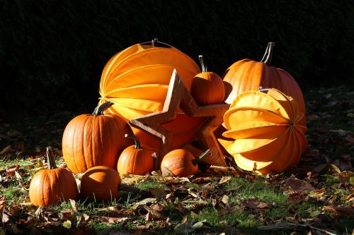 lampion chinese lanterns autumn