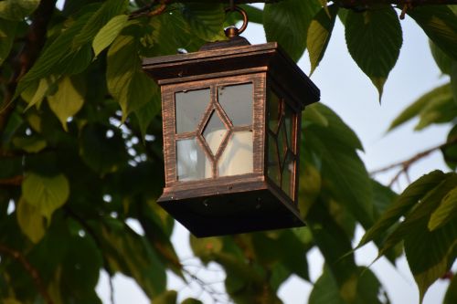 lampion candle light tree