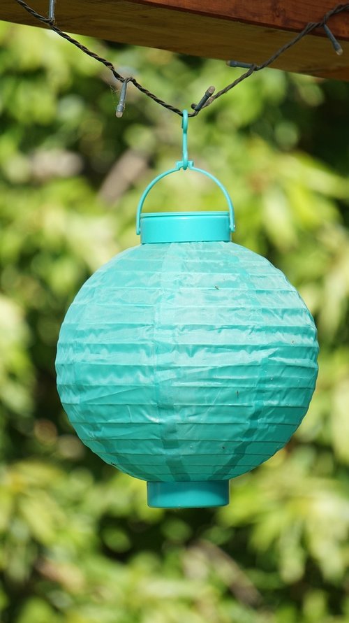 lampion  nature  summer