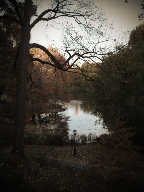 Lampost In Central Park