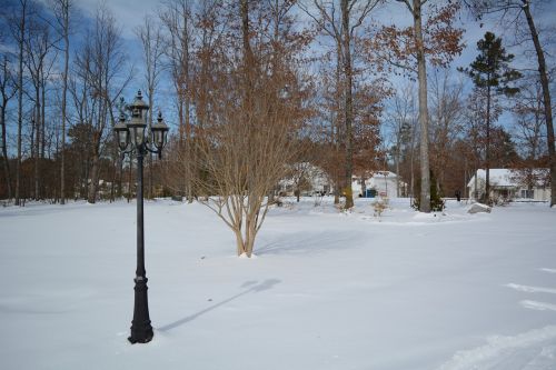 lamppost snow winter