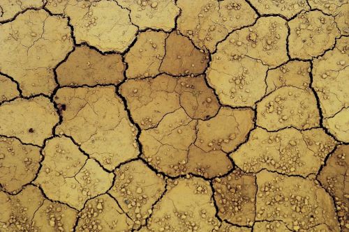 land drought crack
