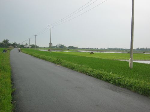land water padi
