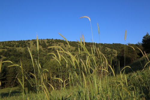 land  mountain  landscape