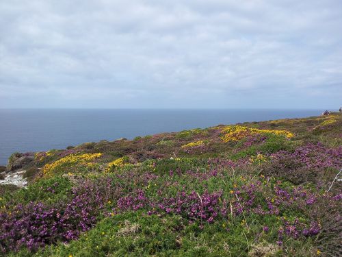 lande bretonne brittany sea