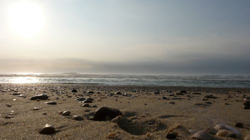 landes ocean relaxation