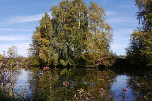 landscape water pond