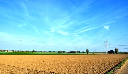 landscape agriculture field