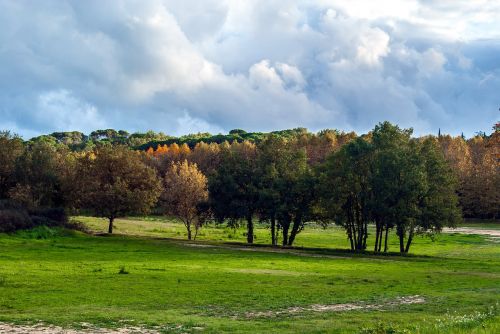 landscape autumn nature