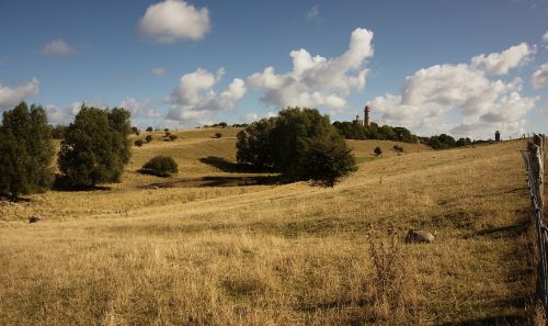 landscape hill field