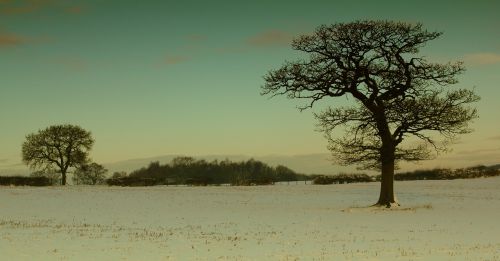 landscape winter winter landscape