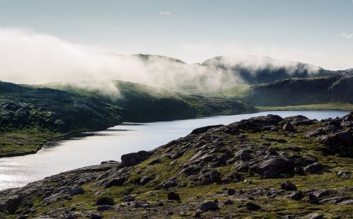 landscape stream fog