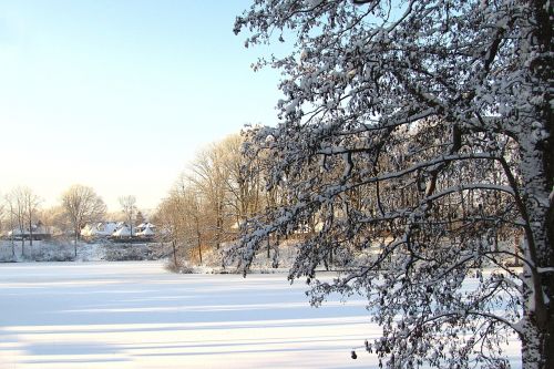 landscape time of year winter