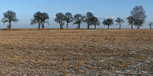 landscape stubble alley