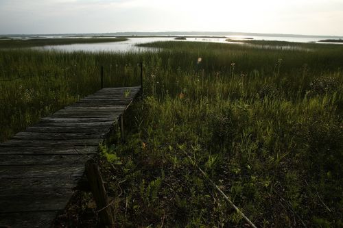 landscape horizon nature landscape