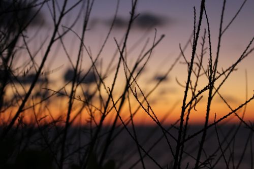 landscape nature sunset