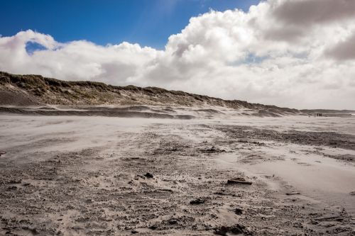 landscape wet scenic