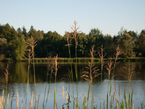 landscape view nature