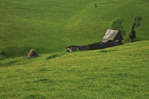 landscape sheepfold rustic