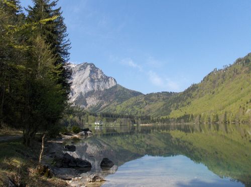 landscape mountains forest