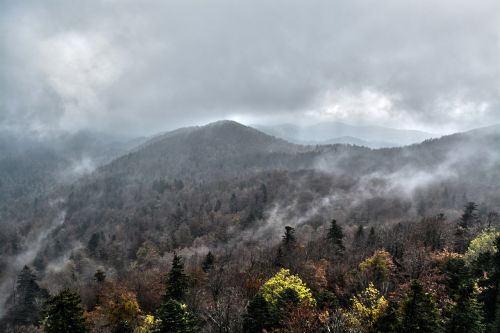 landscape fog nature