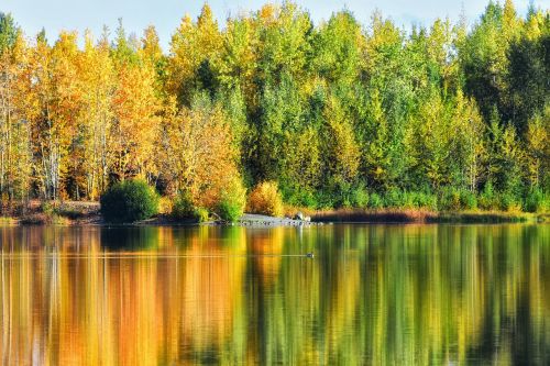 landscape lake autumn