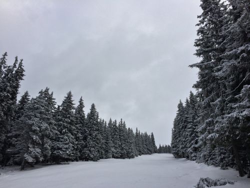 landscape winter snow