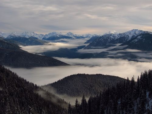landscape fog olympic mountains
