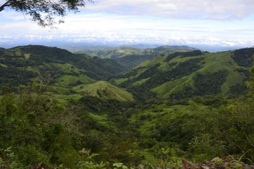 landscape mountains green