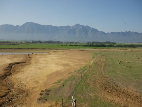 landscape field farm