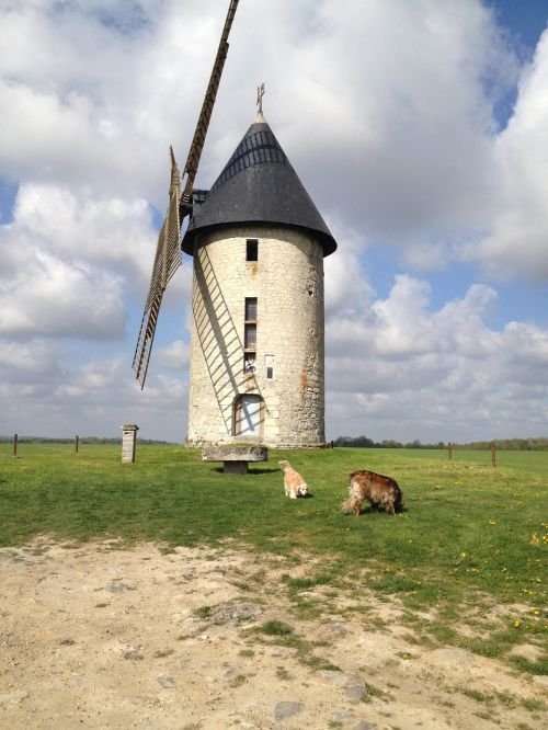 landscape dog windmill
