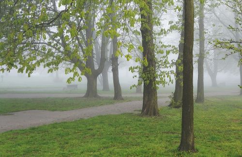 landscape view nature