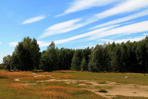 landscape sky trees