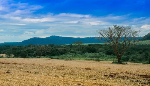 landscape green clouds