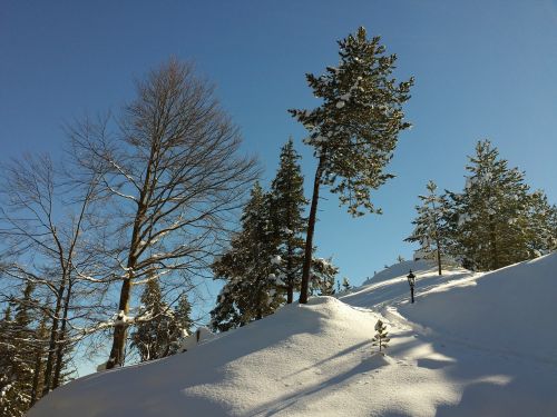 landscape winter wintry