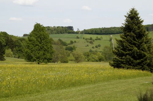 landscape spring sweet