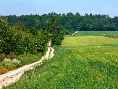 landscape way fields