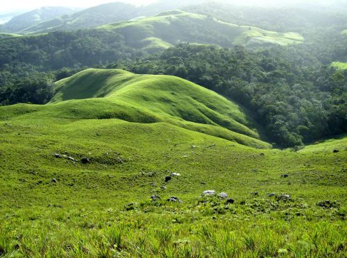 landscape nature field