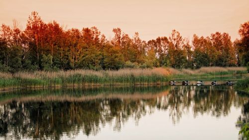 landscape trees lake