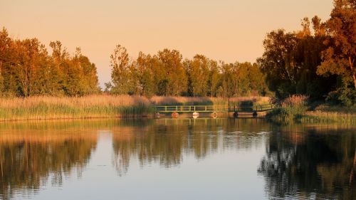 landscape trees lake