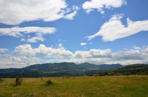 landscape grass sky