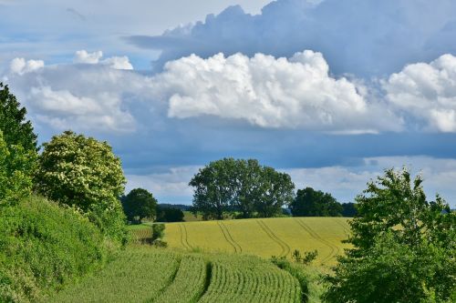 landscape clouds arable