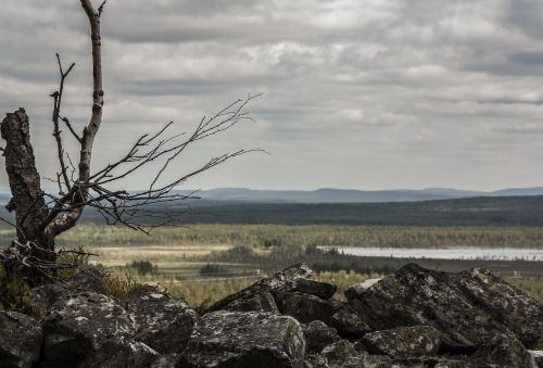 landscape nature lapland