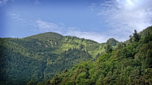 landscape nature bavaria