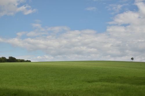 landscape meadow sky