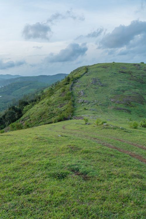 landscape meadows greenery